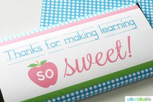 15 Free PDF Teacher Appreciation Printables | Room Mom Rescue