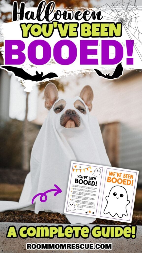 Gioco Di Halloween 'Siamo Stati BOOED' – Set 40 Carte Divertenti Per Bomboniere E Decorazioni